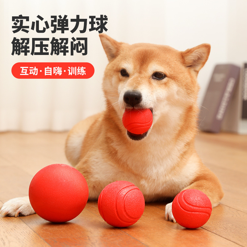 Juguete para perros bola elástica resistente a los mordiscos Bola de molienda entrenamiento mascota sólida Teddy perro grande Cachorro Golden Retriever Bola de juguete