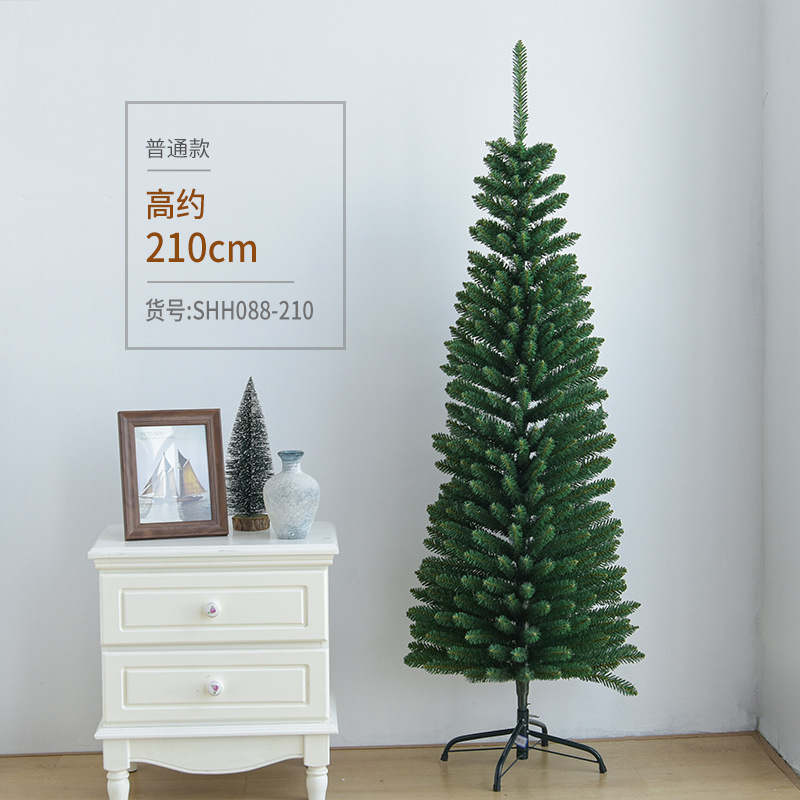 2,1 m árbol verde