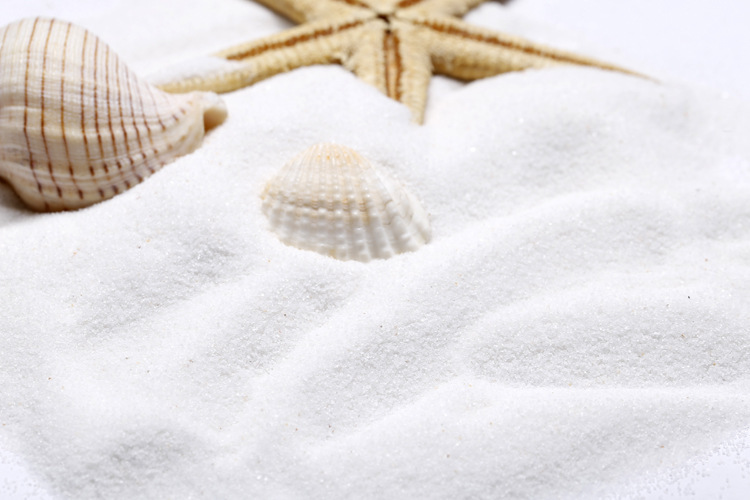 10733760569_793297151