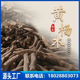 象棋、围棋;麻将;骰子、筹码