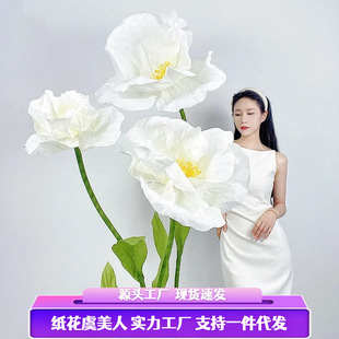 �߼��д�̖�_�ϻ������˴��ͷ��滨������ꐲ��û�c��Y�b[��