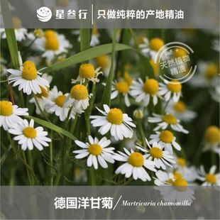 �ЙC�{ɫ��ʾվ��Ͱ���������Ħԭ�����l