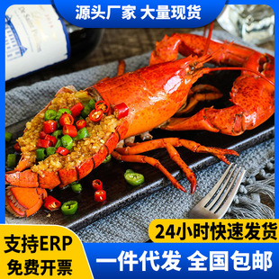 �����ʿ�D���r���r��ʳ���r400--500g�����r�r��������r����