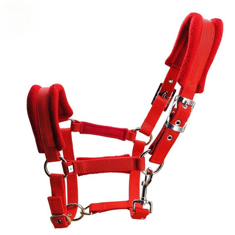 Caja de caballo de longitud mm cabeza de jaula plateada fijación ajustable de metal cabeza de caballo 25 ancho manga de dragón