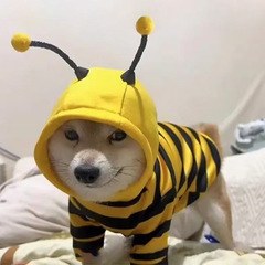 犬の服が可愛いです。