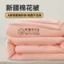 新疆春秋学生加厚被芯