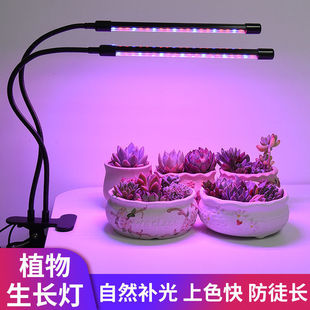 Imitation Sun Plant Growth Lamp Indoor Succulent Fill Light Full Spectrum Photosynthesis Led Micro Landscape Sunlight Lamp