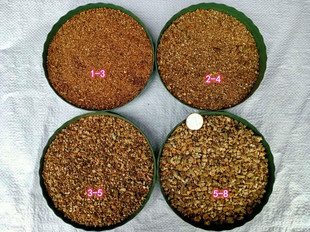 ��ͥ�@ˇ��ʯ �B������|��14��