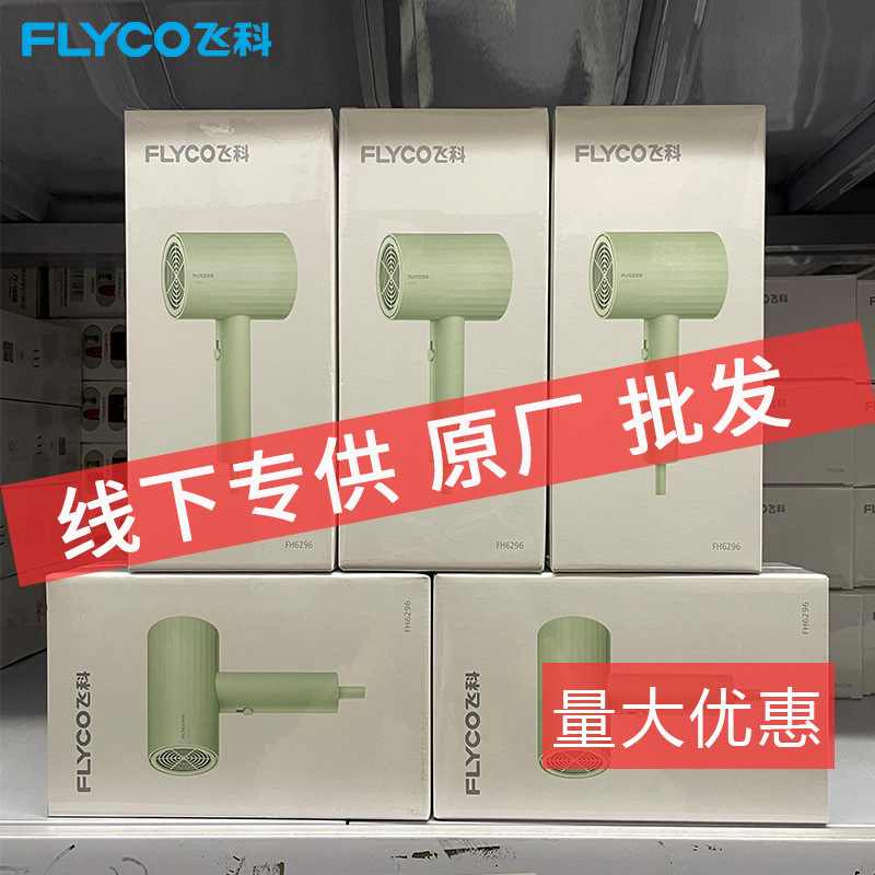 【送料無料・メーカー直送】Feike ヘアドライヤー FH6296 家庭用温冷風ハイパワーヘアドライヤー ギフト|undefined