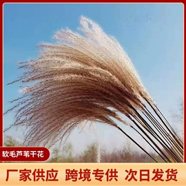 仿真花;干花;节庆用品