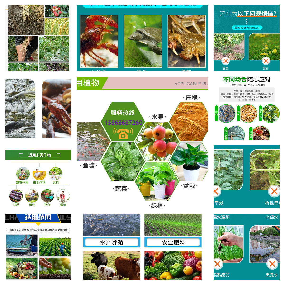 O1CN01eSeFdN23TIaMGBSTt_!!2208