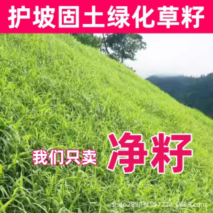 ��ƺ�N�ӹ����o�²���߅�¾G�������ļ�������ͺ��͟ṷ��������