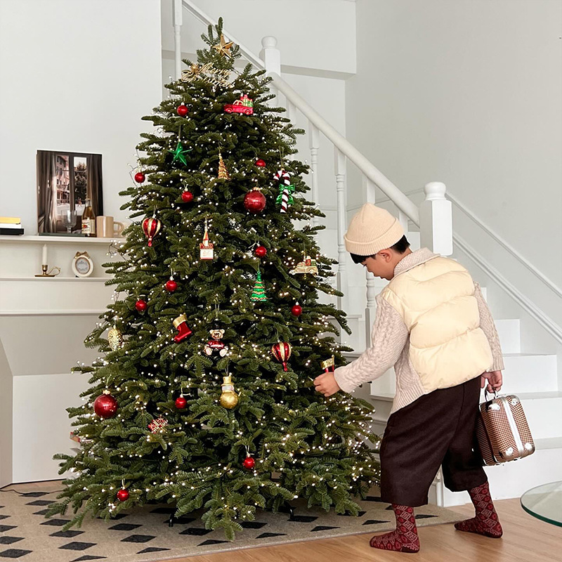 Nuevo árbol de Navidad doméstico grande imitación inswind decoración de Navidad PE cifrado paquete de árbol de Navidad diy