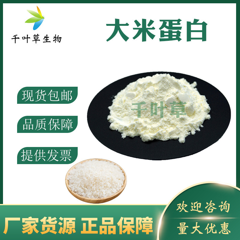 rice protein 80% rice extract chiba supply food grade rice protein powder