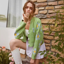 2025���R�d�ﶬ�¿����e����ᘿ����׌���v�Ië���_��Ů���¶̿�