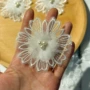 新品蕾丝光丝花朵条码
