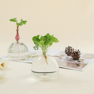 Creative Japanese Avocado Glass Hydroponic Vase Planting Container Special Vase Pot Gardening Ornaments Home