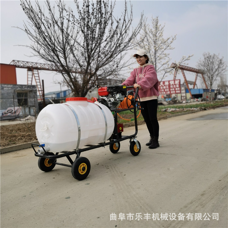 小型手推式汽油打药机 养殖场消毒防疫喷雾机 果园桃树农药打喷机