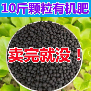 �ЙC�� �����߲�ͨ���ͻ��ʠI�B�ʵ�����w���ͺϷʾG�}����
