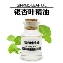 銀杏葉精油 1KG 銀杏葉蒸餾提取 銀杏葉單方油 Ginkgo leaf oil