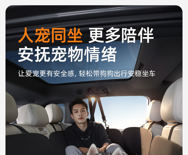 Car pet car mat rear seat co-pilot dog car nest anti-dirty car artifact isolation mat
