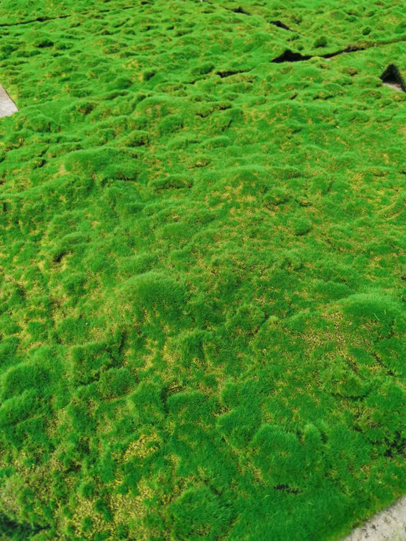 QQ图片20211109092026_副本