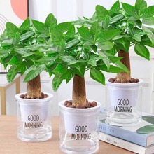 �lؔ���҃�С���ԾGֲ����ˮ��ֲ��G�}�����ļ����B���k��������