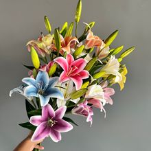 ����ٺϻ�c������Y�û��Ĉ������ø߼��б���ٻ��Ҿ��b羳