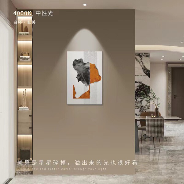 Ceiling light for living room