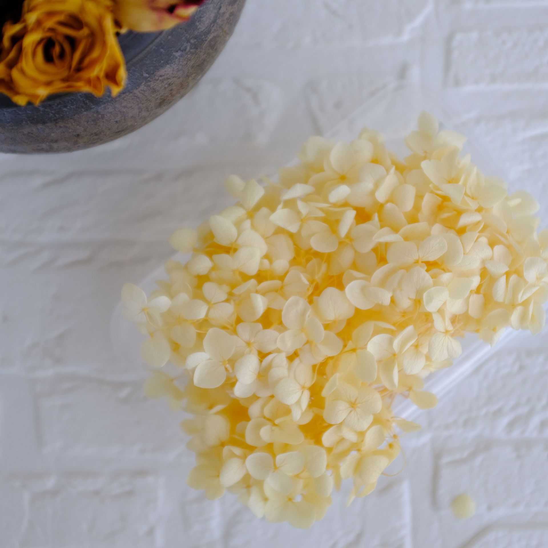 champagne jaune / 5G en boîte