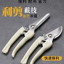 ������֦�����P䓈@ˇ�������Թ������ӈ@�ּ�����ֲ֦�����