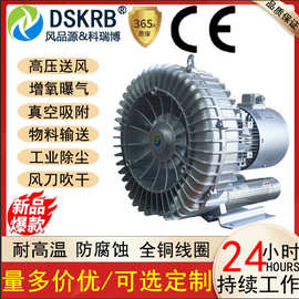 DSKRB气环式真空泵830-380V 4.3KW污水曝气真空吸附气环漩涡式