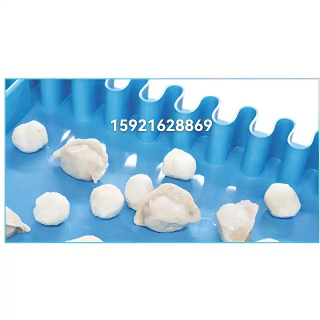 易洁带tpu输送带 抗霉防腐蚀耐油耐水洗 肉类糖类传输带