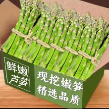 2025芦笋新鲜产地现挖现发5斤嫩青笋绿鲜芦笋嫩当季蔬菜卢笋包邮