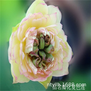 ˮֲСɏN˯ɏNźˮܴͺɻN