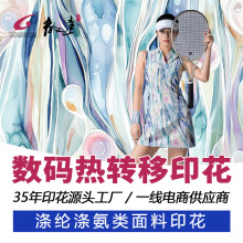 针织卫衣鸟眼布数码印花 涤纶涤氨布料热转移印花 来图来样定制