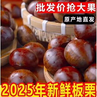 ��2025���Ӵ󵤖|���rҰ��5���r���w�������������������F������