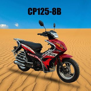 ���O����Ħ�� ��݆ȼ����܇����Ħ��܇110CC늇����ď���Ħ��܇