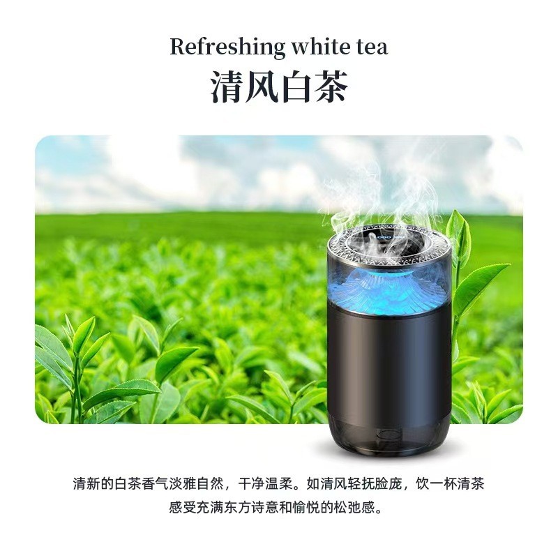 051-청풍 백차 - 영문판