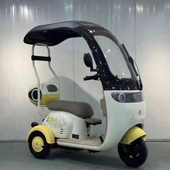 【31万人のコレクション】大人・高齢者・子供送迎用の屋根付き国家標準新モデルレディースカジュアルスクーター