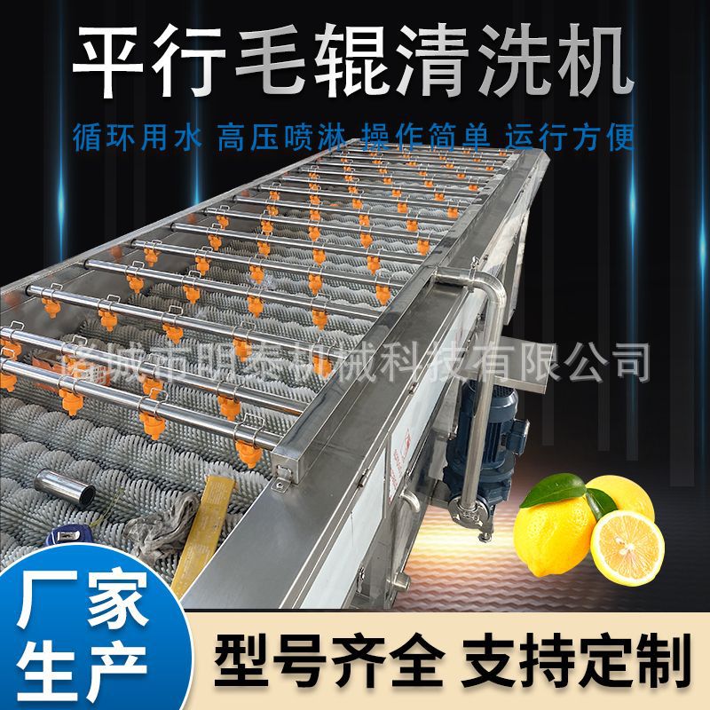 夏橙平行毛辊清洗机 粑粑柑砂糖橘洗果机 大姜海蛎子清洗去泥机
