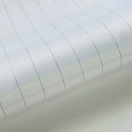 涤纶面料;女装其他加工;功能性面料