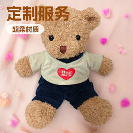 厂家定制泰迪熊毛绒玩具熊猫公仔布娃娃抱抱熊送女友女生生日礼物