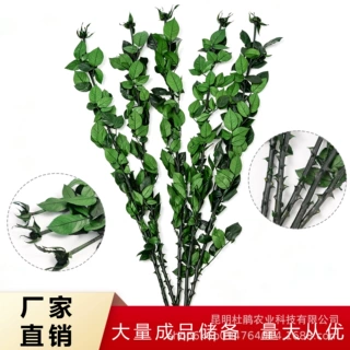永生玫瑰枝条带叶带刺永生花配材玫瑰枝花束手工diy 花材厂家直供