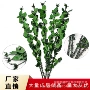 带刺手工枝条永生花