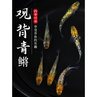 �^�����F�^�p�~��ˮ�~�粻�������B���wС�͚g����Ʒ����������ʹ