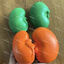 ���l���؏�PU�p����� �I�Kpu�l�����K�IѪվ�������t�Wģ������