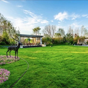 ���羳��؛���ͺ������ļ����ƺ���Ѷ����������ݰ�Ľ��������