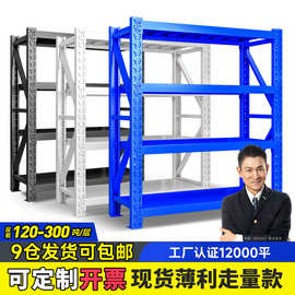 仓储货架仓库多层承重置物架轻型中型快递移动商超储物架跨境工厂