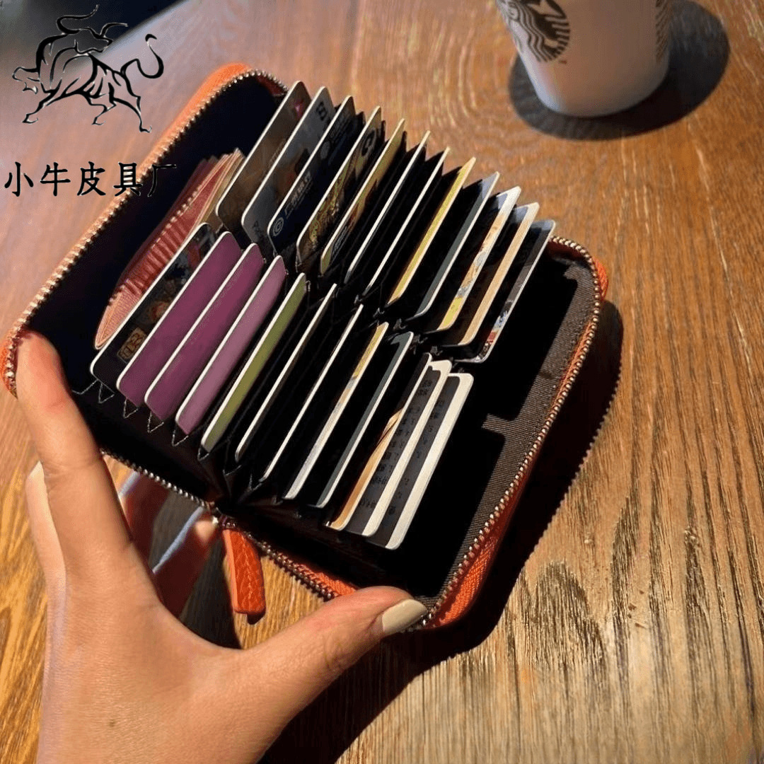 Japanese capacious card holder